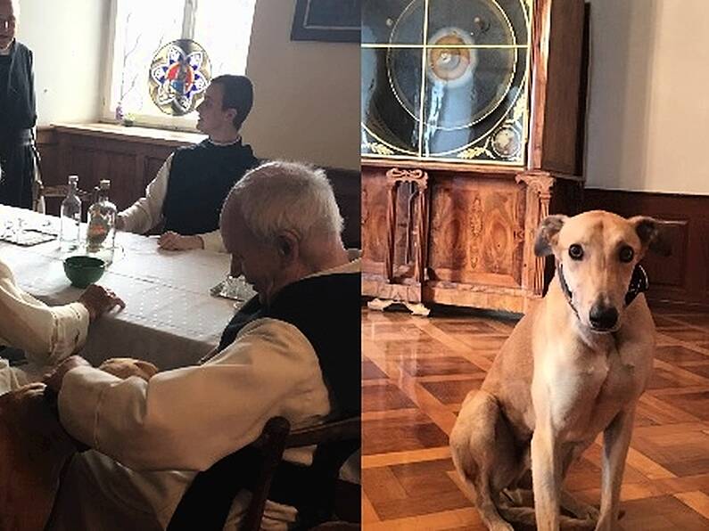 Meet the retired Irish greyhound who is now living his best life in Austrian monastery