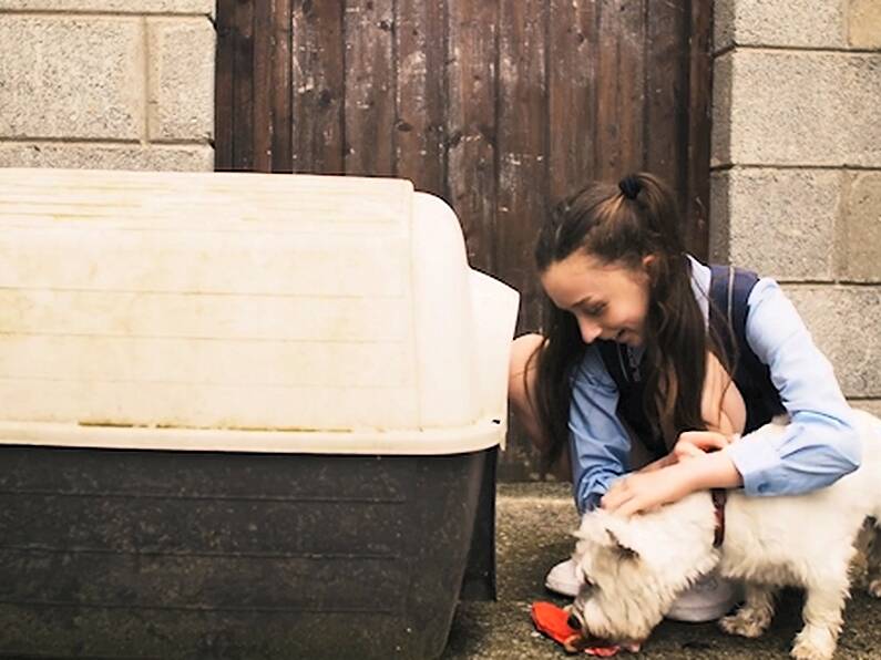 This short film highlights the bond between children and their pets during the homelessness crisis