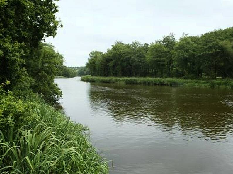 Tragedy as man (30) dies in drowning incident in Carlow