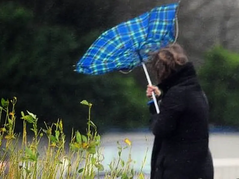 Wind and rain warnings forecast for the South East gusts up 110km/h and 40mm of rain today