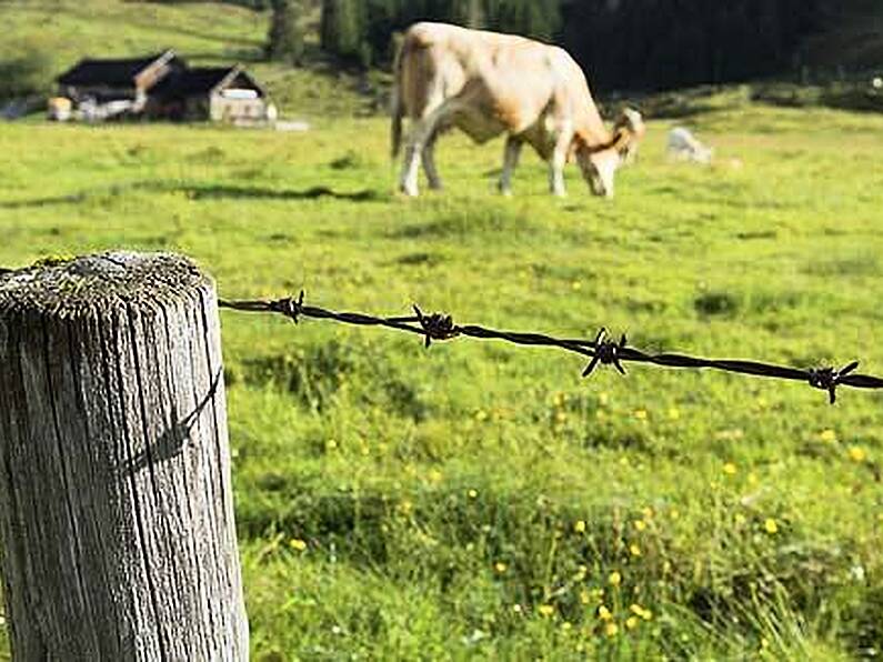 Farmers welcome early roll-out of GLAS payments