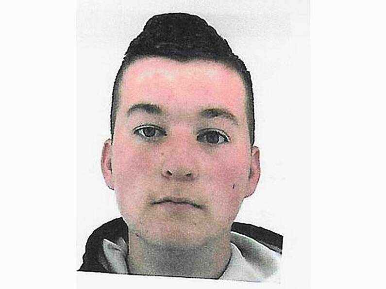 Gardaí seek help locating missing Laois teenager