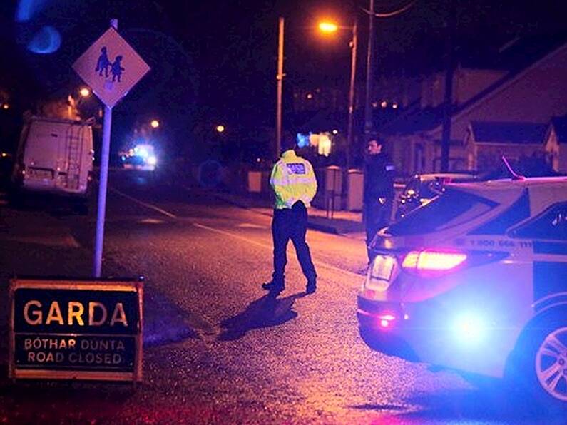 Gardaí appeal for public's help after man shot dead in Dublin driveway