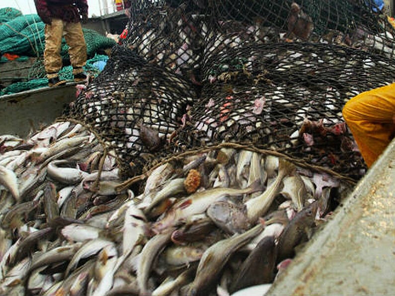 Decision to end discarding of dead fish caught at sea 'deeply disappointing'