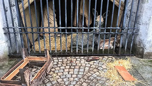 Cork Mayor condemns 'mindless stupidity' of vandalism at historic crib