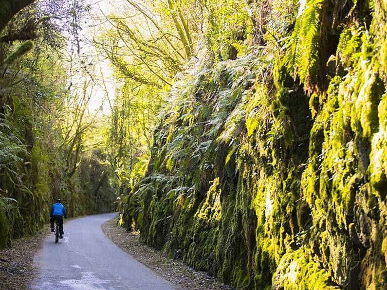 Rosslare to Waterford Greenway in "jeopardy" says Wexford Councillor