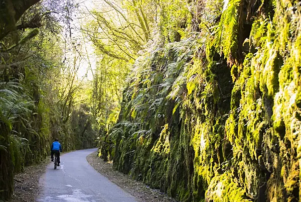 'Heartening to see so many applications' for Greenways across country - Shane Ross