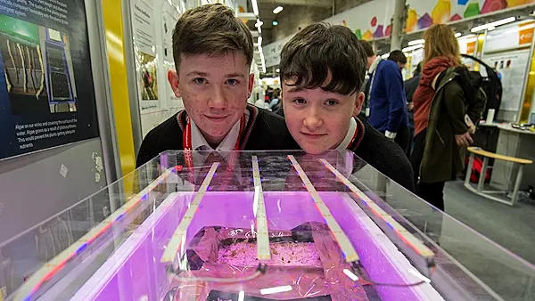 Ireland's young scientists share their solutions for the world's problems