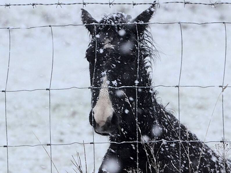 Watch as snow turns Ireland into a winter wonderland