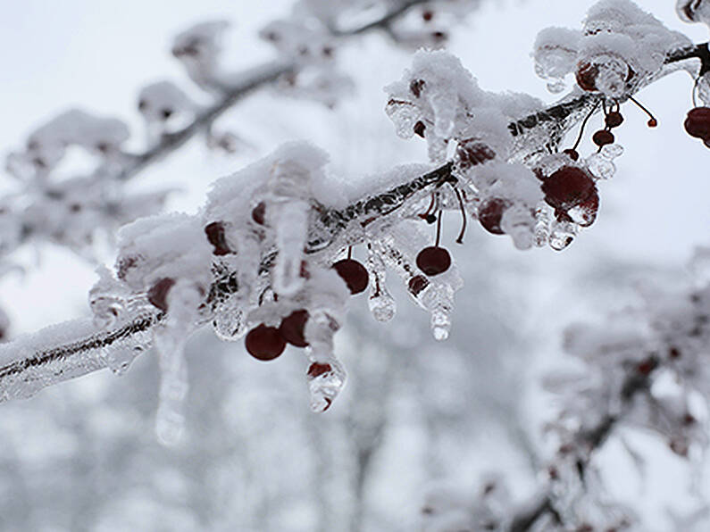 Met  Éireann issues weather warning for South East with sub-zero temperatures expected in some areas