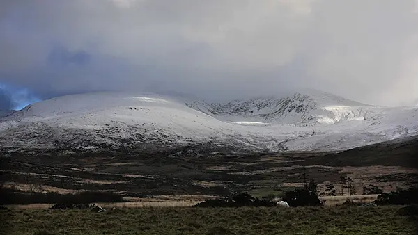 Watch as snow turns Ireland into a winter wonderland