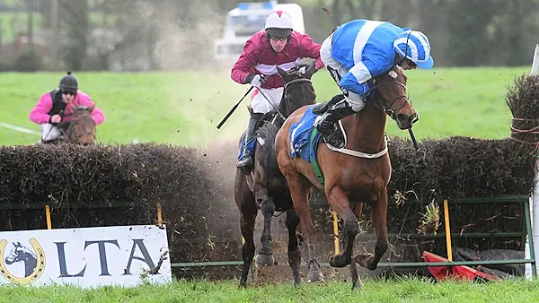 'Ride of the season': Waterford jockey produces miraculous recovery to win race