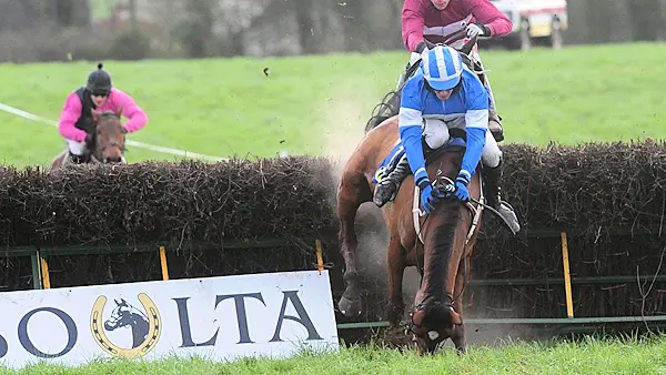 'Ride of the season': Waterford jockey produces miraculous recovery to win race