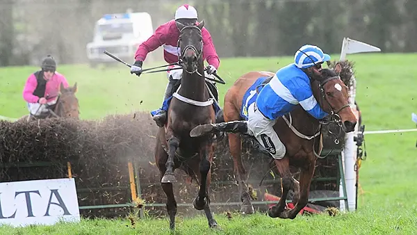 'Ride of the season': Waterford jockey produces miraculous recovery to win race