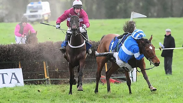 'Ride of the season': Waterford jockey produces miraculous recovery to win race