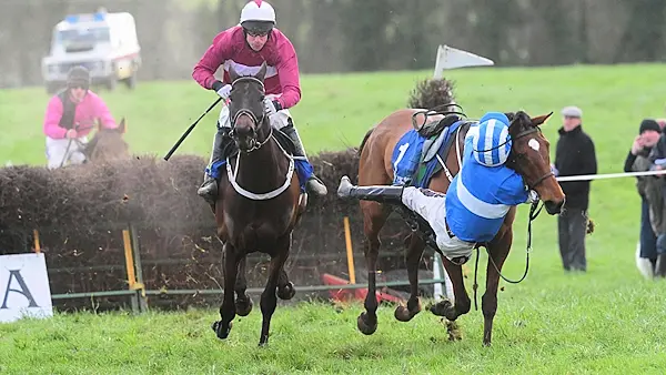 'Ride of the season': Waterford jockey produces miraculous recovery to win race