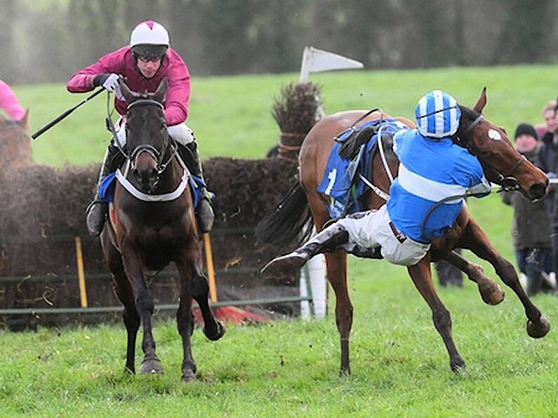 'Ride of the season': Waterford jockey produces miraculous recovery to win race