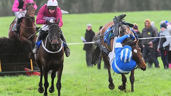 'Ride of the season': Waterford jockey produces miraculous recovery to win race