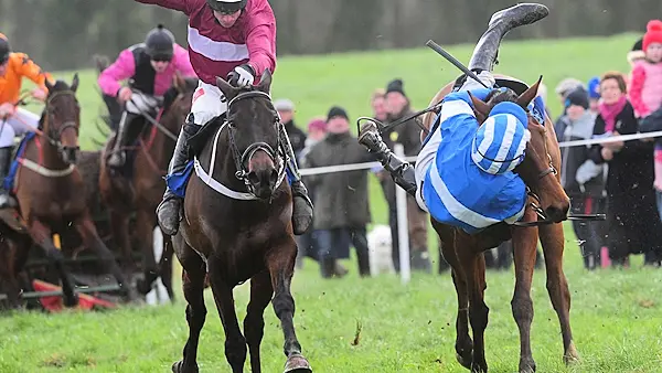 'Ride of the season': Waterford jockey produces miraculous recovery to win race