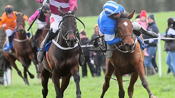 'Ride of the season': Waterford jockey produces miraculous recovery to win race