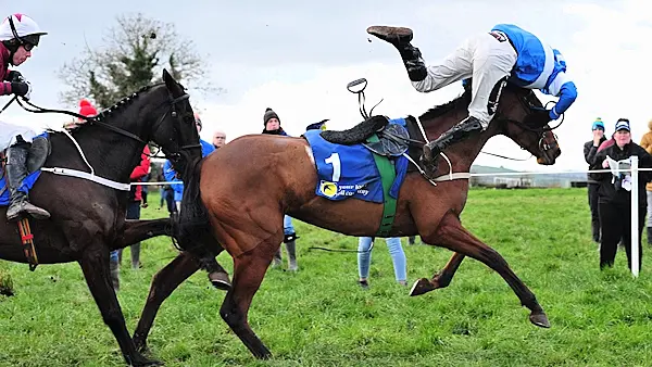 'Ride of the season': Waterford jockey produces miraculous recovery to win race