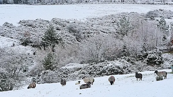 Watch as snow turns Ireland into a winter wonderland