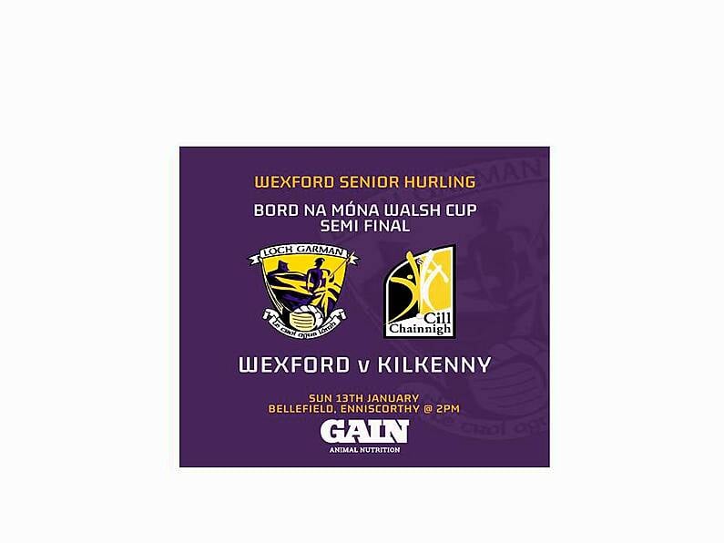 Kilkenny and Wexford teams named for Bórd na Móna Walsh Cup semi-final