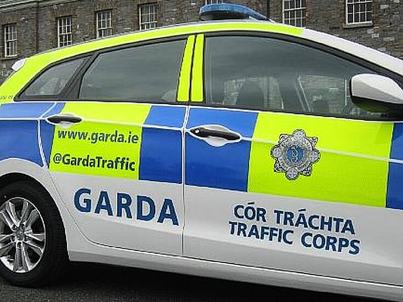 30 people arrested in Kilkenny/Carlow division as part of Operation Thor