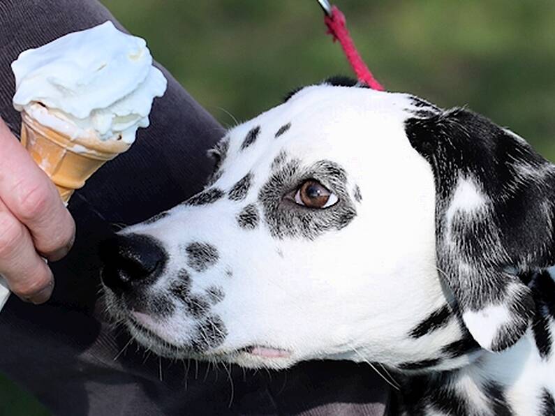 Warm weather reaches high of 17C at Kerry hotspot