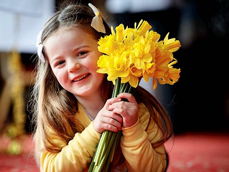 Today is Daffodil Day