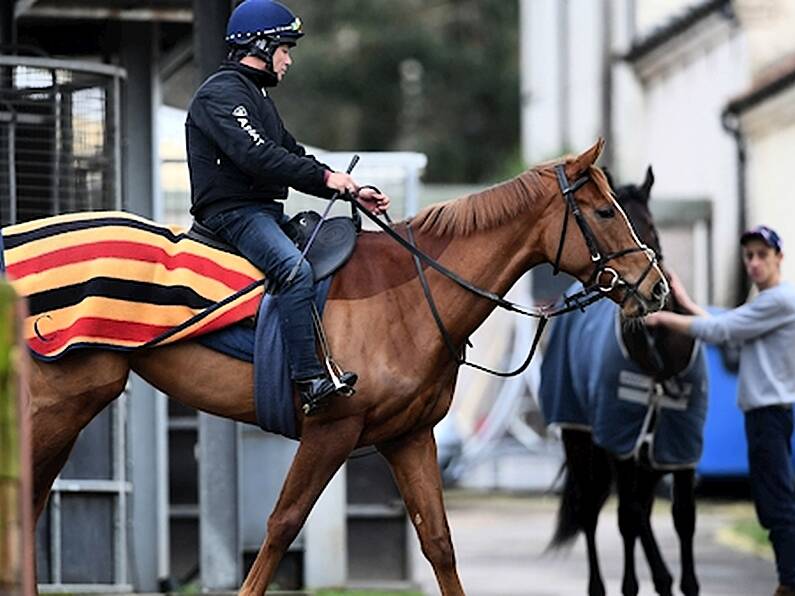 Horses from UK to be allowed to race in Ireland despite equine flu outbreak