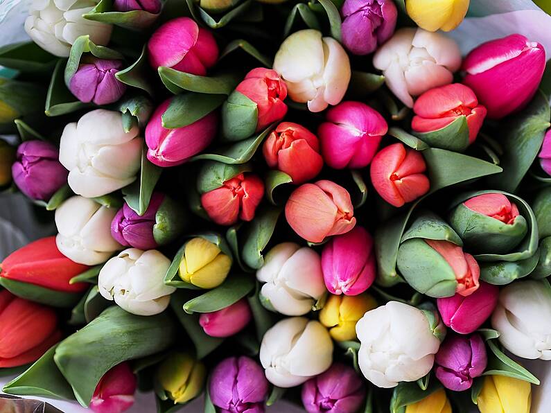 Hospitals are now banning flowers from wards for safety reasons