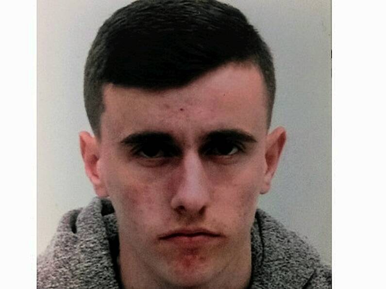 Gardaí appeal for information after teenager goes missing in Wicklow