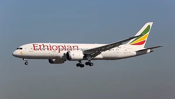 'No survivors' after Ethiopian Airlines plane crashes with 157 people on board