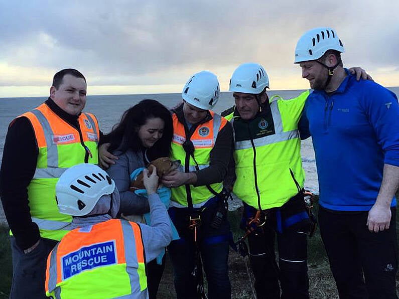 Josie the Jack Russell saved by Tramore Cliff & Mountain Rescue following dramatic cliff fall