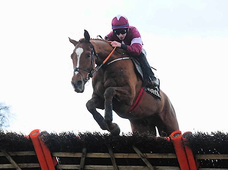 Samcro to miss Cheltenham Festival, says Gordon Elliott