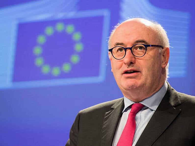 Phil Hogan: UK’s no-deal tariff plans likely breach World Trade Organisation rules