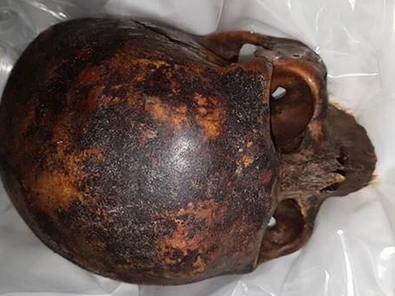 Gardaí recover 800-year-old skull of 'The Crusader'