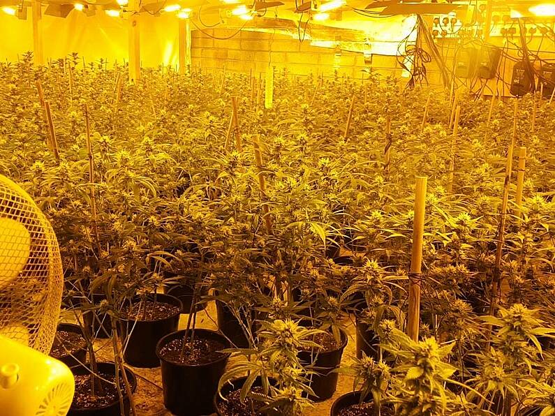 Gardaí make arrests following growhouse discovery in Waterford