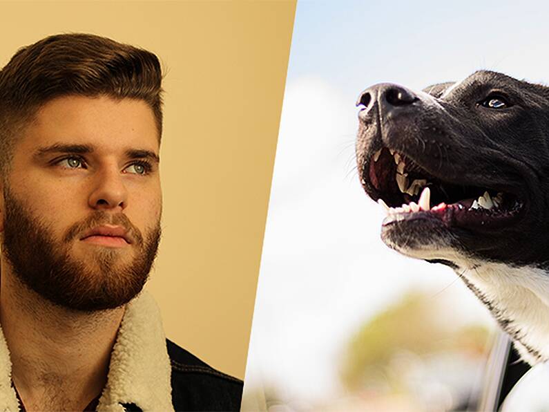 Study shows that men with beards carry more dangerous bacteria than DOGS