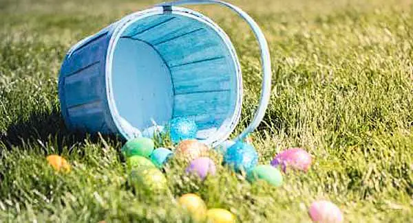 Public encouraged to recycle Easter egg packaging