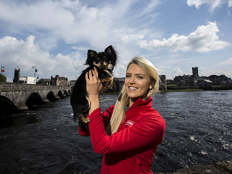 Ireland's Top Ten Doggie Breeds Revealed by Petmania