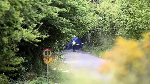 Update: Gardaí issue details of car they seek in connection with man's shooting near motorway