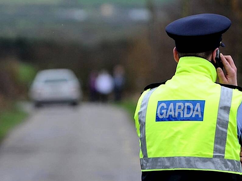 Man, 30s, dies following paragliding accident in Wicklow