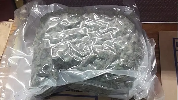 Teenager arrested after €42k of drugs seized in Drogheda