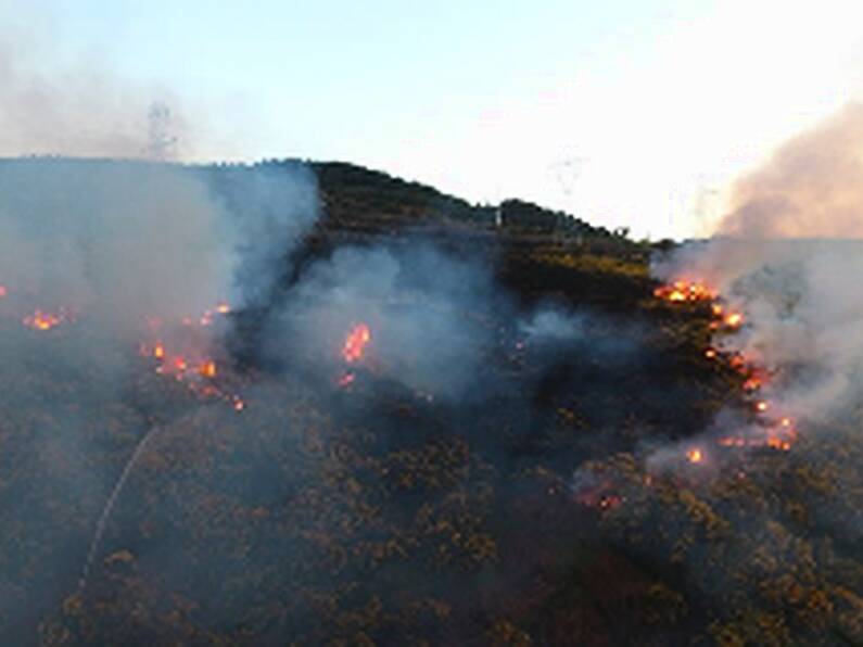 Status Orange forest fire warning issued as temperatures rise this week