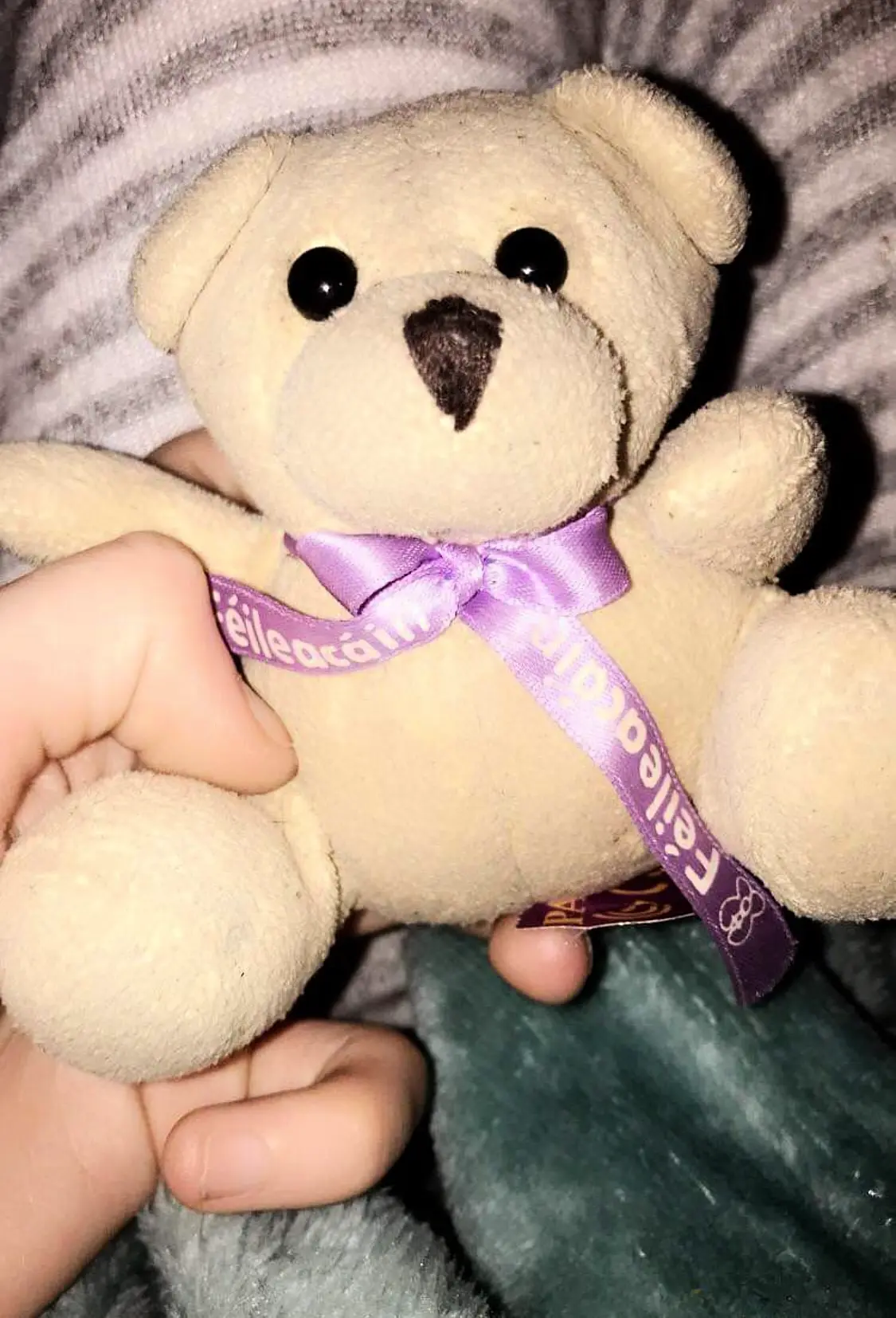 Couple in emotional appeal for return of very special teddy bear