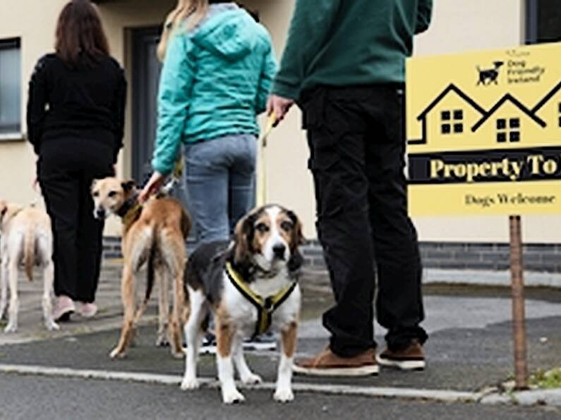 Dogs Trust: Housing crisis is damaging dog ownership in Ireland