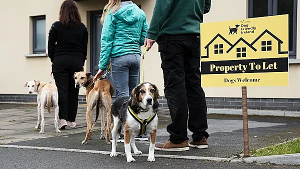 Dogs Trust: Housing crisis is damaging dog ownership in Ireland