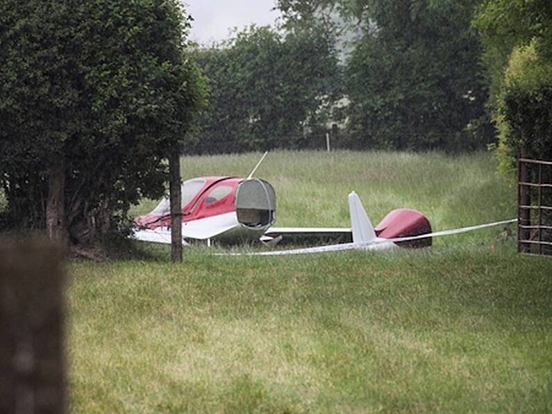 Two men who died in Kildare light aircraft crash are named